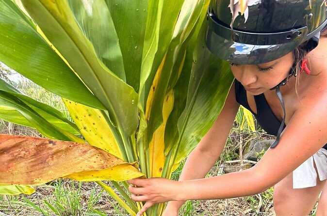 Guided UTV Ride-Along Tour on the Big Island - Frequently Asked Questions (FAQs)