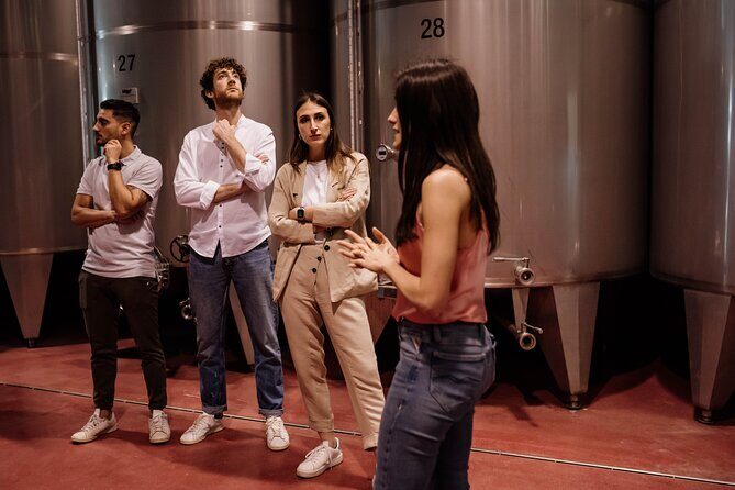 Guided Visit and Wine Tasting at the Winery in Veneto - A Closer Look at the Experience