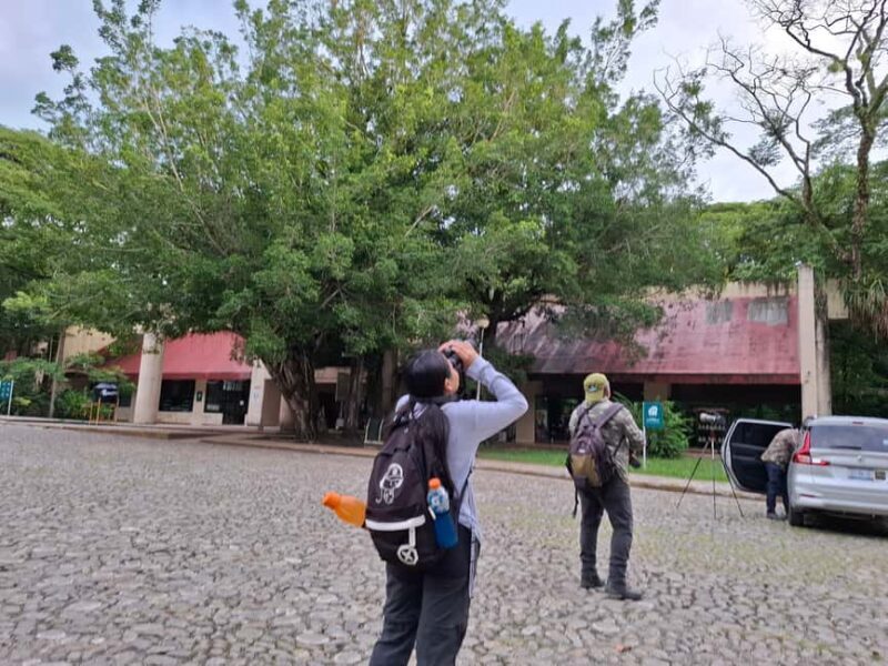 Guided visit in the Palenque jungle (Palenque National Park) - Key Points