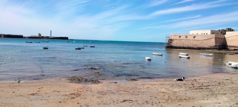 Guided visit on foot through Cádiz: stories from the hand of a local guide - Who Will Love This Tour?