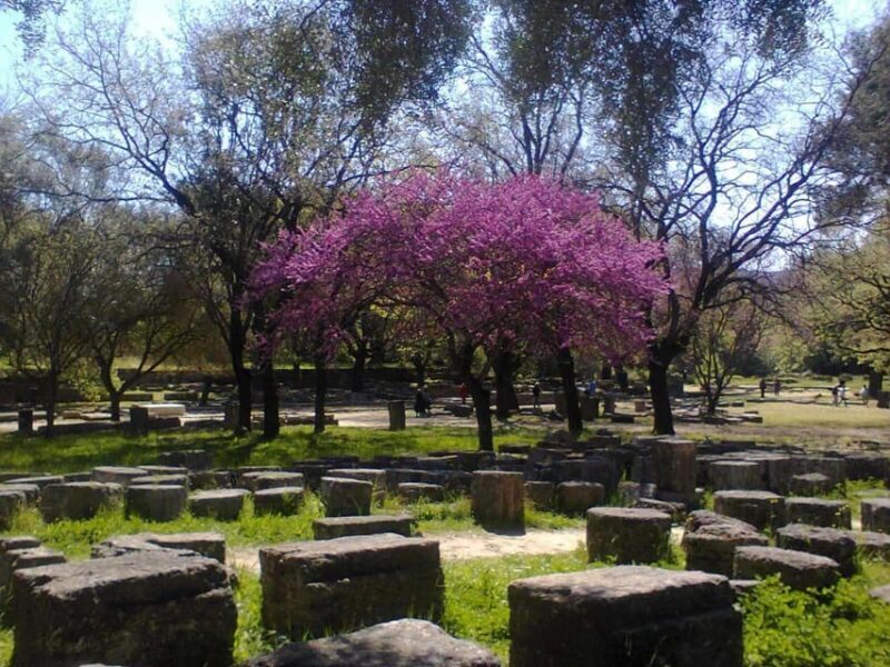 Guided visit to ancient Olympia with an Italian-Greek archaeologist tour guide - Practical Details and Logistics