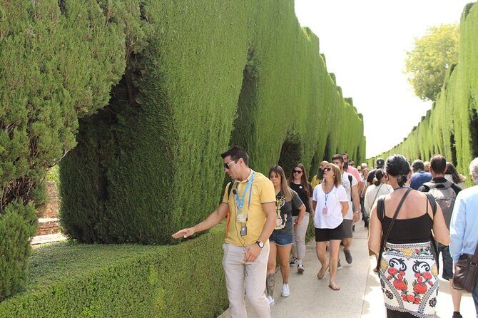 Guided visit to the Alhambra, Nasrid Palaces and Generalife - What Reviewers Say