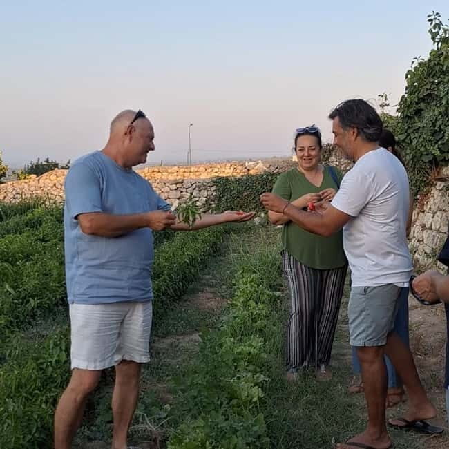 Guided visit to the Medieval Gardens of Ostuni - Discovering the Hidden Vegetables of Ostuni: A Guide to the Medieval Gardens Tour