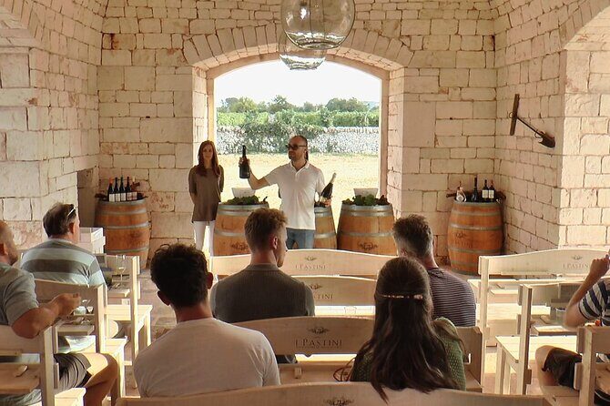 Guided Visit to the Vineyard with Wine Tasting - Who Should Consider This Tour?