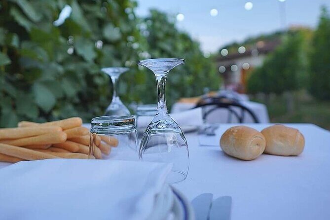 Guided Walk and Lunch in the Vineyard in Alba - Key Points