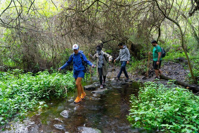 Guided Walking Route to Caldera de Taburiente - Who Should Consider This Tour?