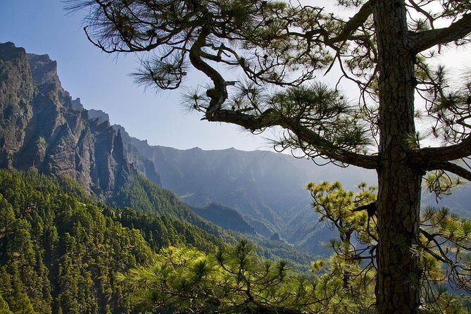 Guided Walking Route to Caldera de Taburiente - FAQ