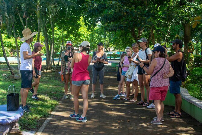 Guided Walking Street Art & Graffiti Tour in Jaco Costa Rica - Final Thoughts