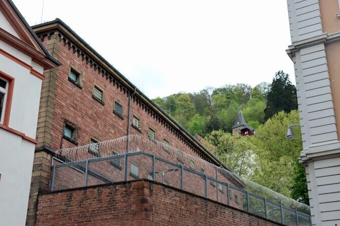 Guided Walking Tour in Heidelberg - Who Would Enjoy This Tour?