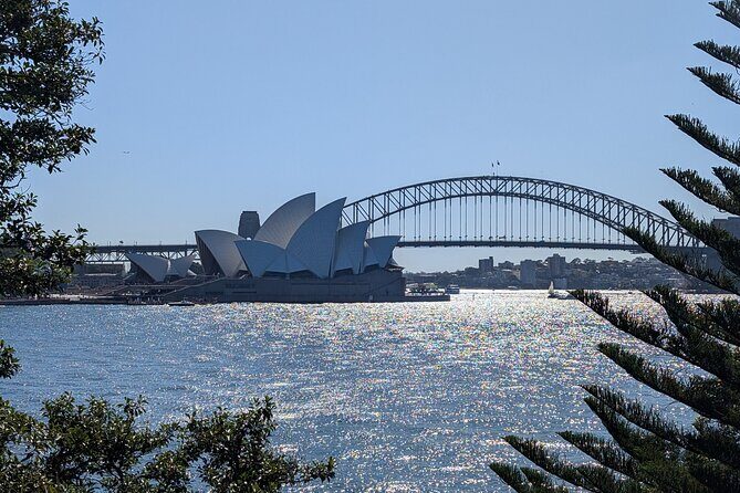 Guided Walking Tour in Sydney City with Lunch - Discover Sydney on Foot: A Guided Walking Tour with Lunch