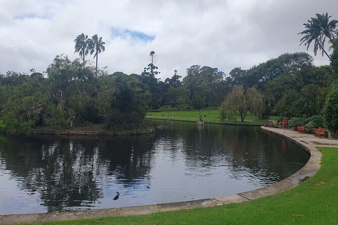 Guided Walking Tour in Sydney City with Lunch - Final Thoughts: Is It Worth It?