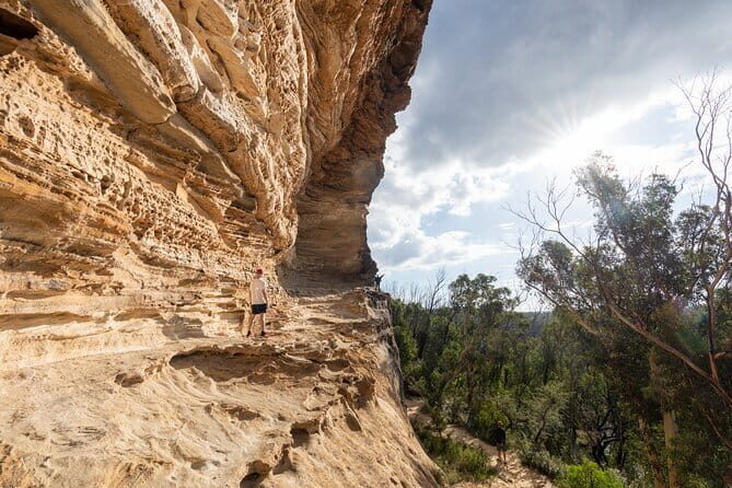 Guided Walking Tour in the Blue Mountains - Hidden Treasures - Exploring the Blue Mountains with a Unique Focus