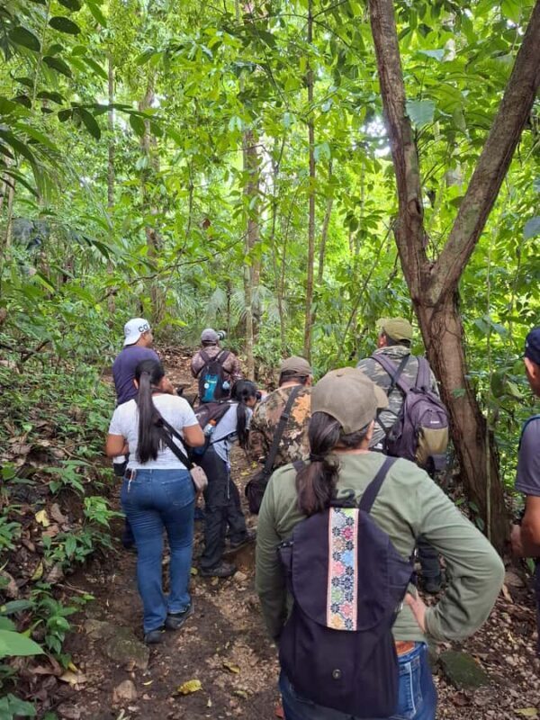 Guided walking tour in the Palenque jungle (Palenque National Park) - Final Thoughts