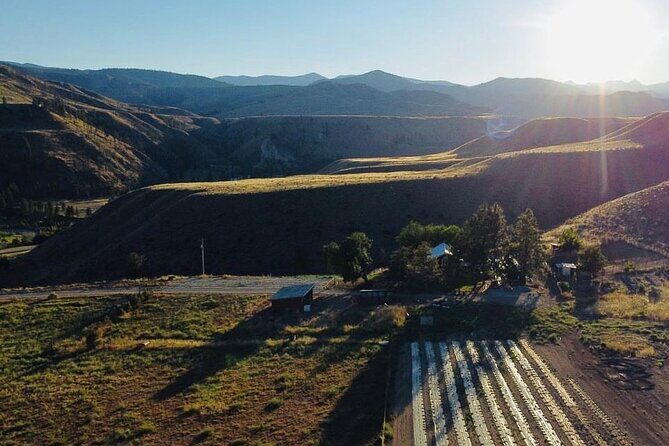 Guided Walking Tour of Methow Meadows and Meet the Animals - Discover the Charm of Methow Meadows: Guided Walking Tour of Animals and Fields