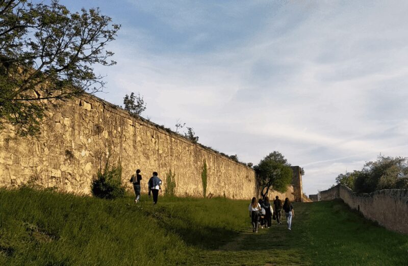Guided Walking Tour on Verona Hillside - Who Should Consider This Tour?