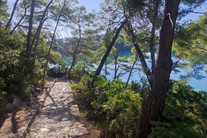 Guided Walking Tours in Mljet National Park - The Experience: A Detailed Breakdown of the Tour