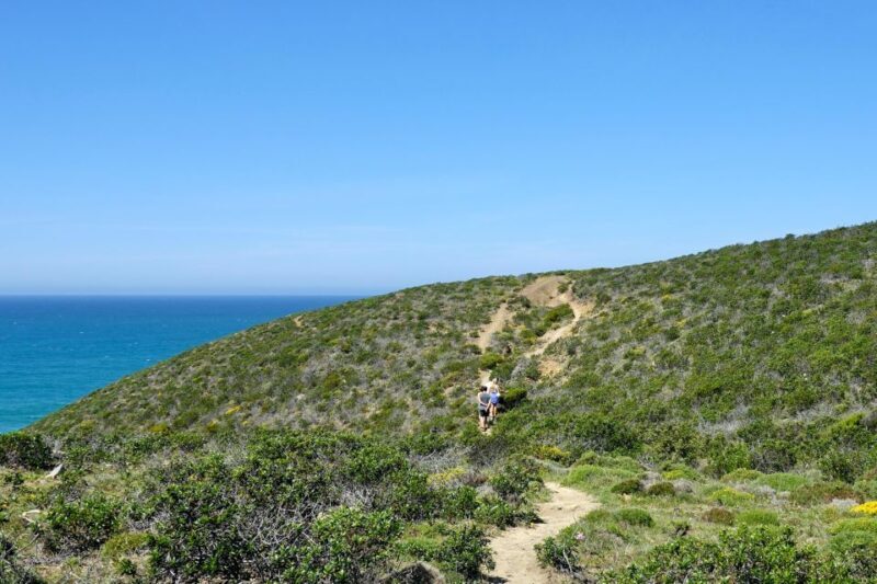 Guided Walk+Picnic: Western Algarve´s Wild Beauty - An In-Depth Look at the Western Algarve Guided Walk + Picnic
