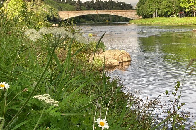 Guided Walks in Grantown-on-Spey - An In-Depth Look at the Grantown-on-Spey Guided Walk