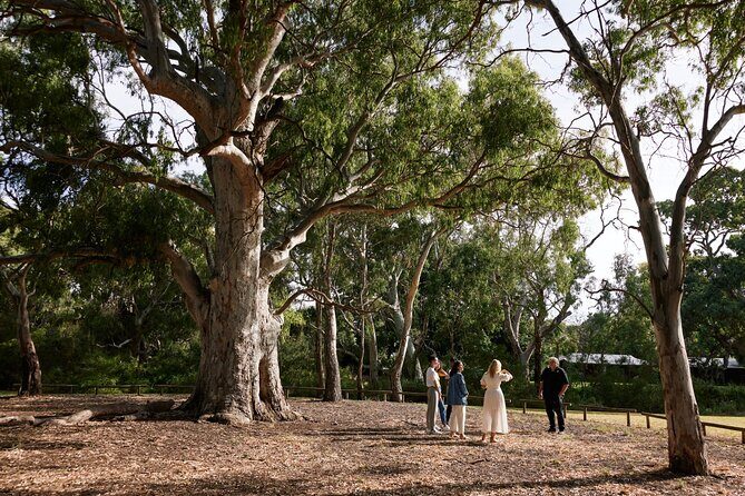 Guided Warriparinga Cultural and Historical Tour - Key Points