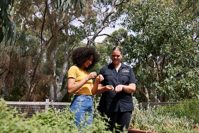 Guided Warriparinga Cultural and Historical Tour - Practical Details: What You Need to Know