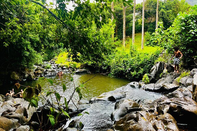 Guided Waterfall and Jungle Hiking Tour - Who Should Consider This Tour?