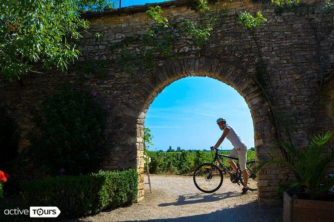 Guided week Bike Tour in France, Burgundy wine region - What Makes This Tour Stand Out?