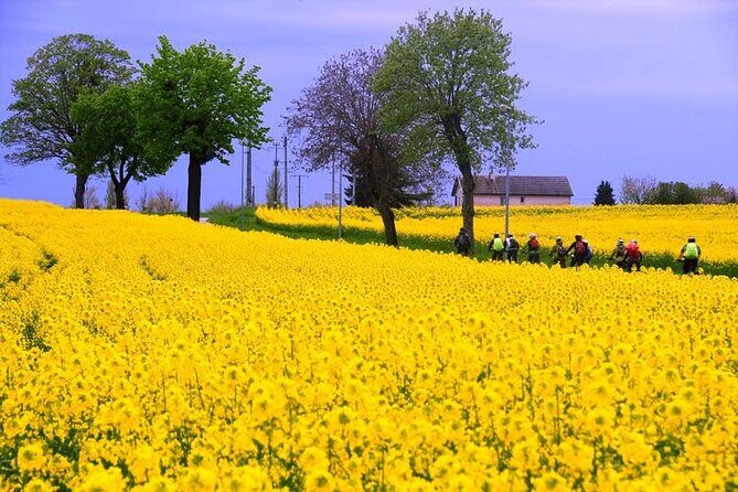 Guided week Bike Tour in France, Burgundy wine region - FAQ