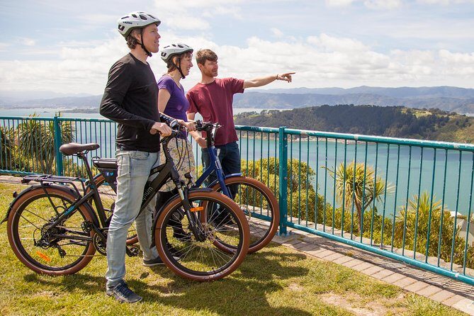 Guided Wellington Tour by Electric Bike - Experience Wellington on an Electric Bike: A Complete Overview