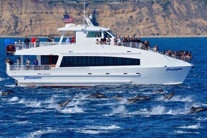 Guided Whale Watching Tour from Long Beach - FAQ