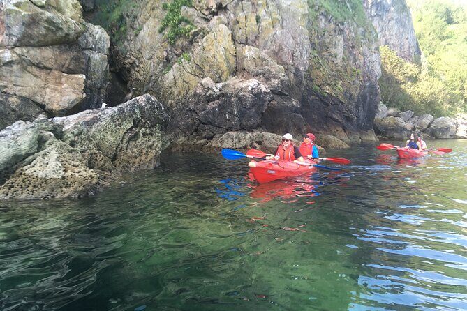 Guided Wildlife and Sea Cave Kayak Safari in English Riviera - FAQ