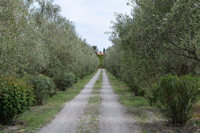 Guided Wine and Olive oil tasting - Frequently Asked Questions