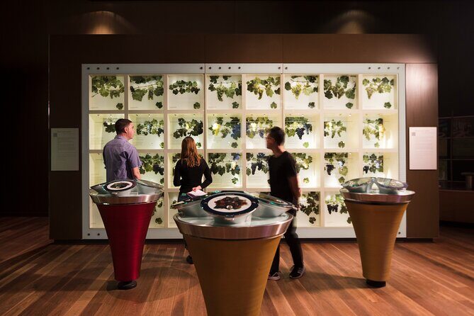 Guided Wine Journey and Discovery Tasting Tour in Adelaide - An In-Depth Look at the Guided Wine Journey and Discovery Tasting Tour