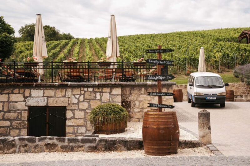 Guided wine tasting at Rókusfalvy Estate - A Closer Look at the Rókusfalvy Experience