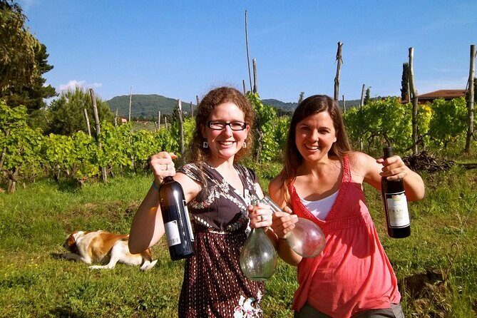 Guided Wine Tasting Experience in a Roman Vineyard - An In-Depth Look at the Roman Vineyard Tour