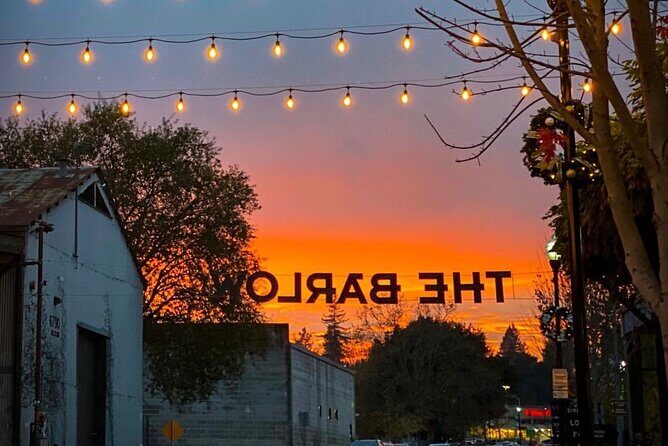 Guided Wine Tasting in Sebastopol with Local Sommelière - Practical Details and Tips