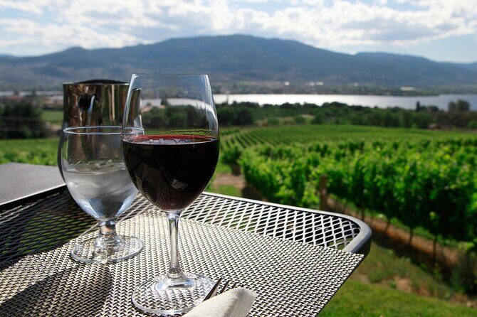 Guided Wine Tour through the Niagara Wine Trail - In-Depth Look at the Niagara Wine Trail Guided Tour