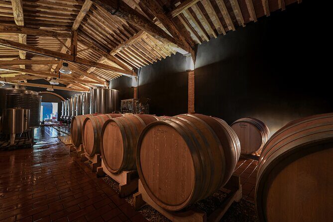 Guided Winery Tour and Wine Tasting in Siena - Exploring the Heart of Tuscany: What to Expect