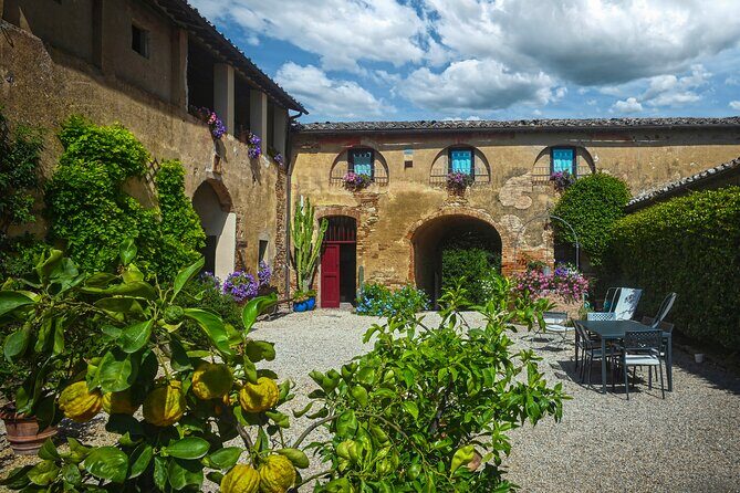 Guided Winery Tour and Wine Tasting in Siena - The Small-Group Advantage