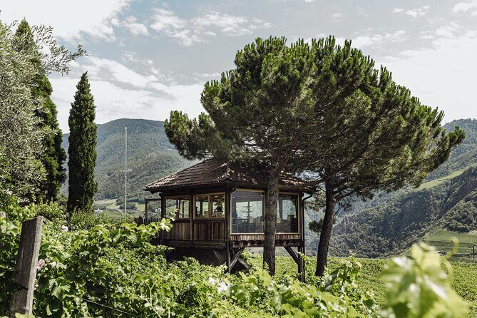 Guided winery tour with tasting in Bolzano at the SKYWINE PAVILLON - Guided Winery Tour with Tasting in Bolzano at the SKYWINE PAVILLON