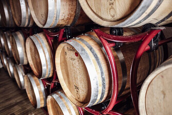 Guided winery tour with tasting in Bolzano at the SKYWINE PAVILLON - The Value of This Tour