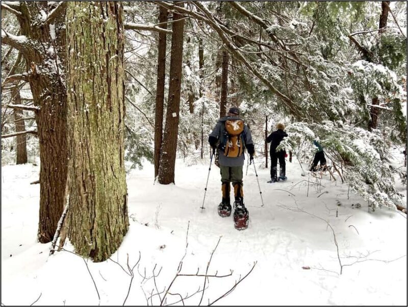 Guided Winter Snowshoe Adventure from Boston - Who Will Appreciate This Tour?