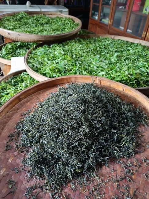 Guilin: City Tour with Elephant Hill & Ming Tea Tasting - Detailed Breakdown of the Experience