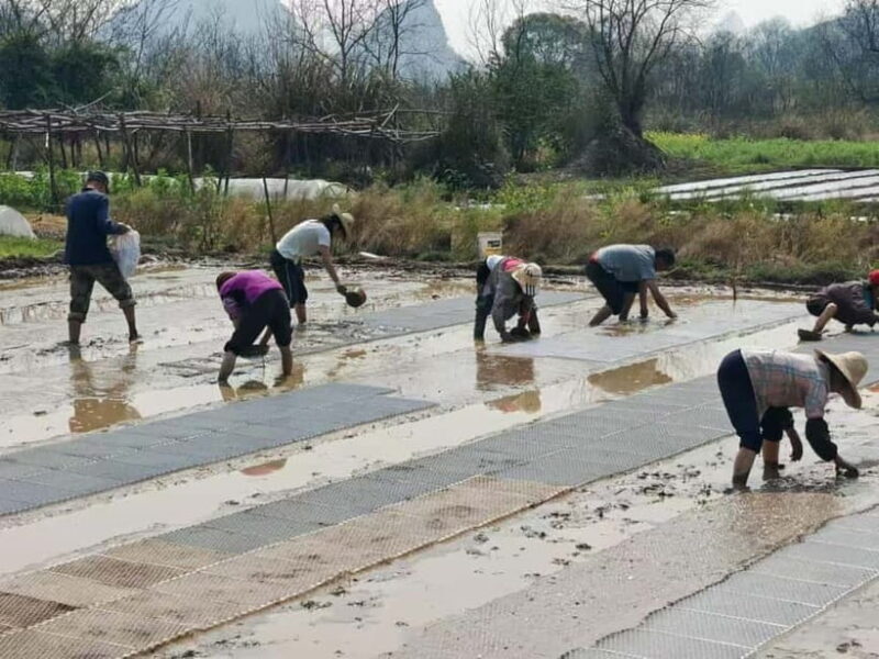 Guilin: Countryside Cycling 1-day Tour with Cooking Class - In-Depth Look at the Guilin Countryside Cycling & Cooking Tour