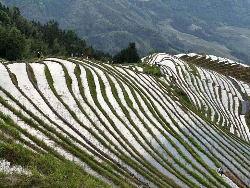 Guilin: Day tour of Longji Rice Terraces and Yangshuo - Final Words