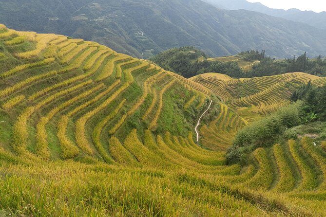 Guilin: Day tour of Longji Rice Terraces and Yangshuo - The Day in Detail: What to Expect