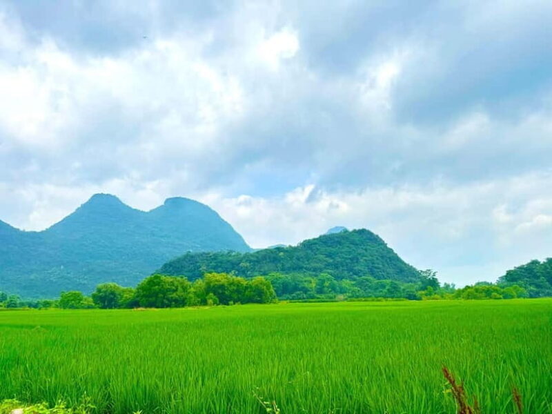 Guilin: Half Day Yanzi Cave Exploration Tour - Key Points