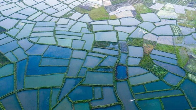 Guilin: Huixian Wetland Boat Ride & Glass Fields Tour - The Sum Up