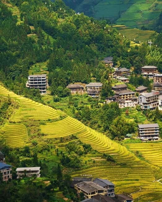 Guilin Longji: Rice Terrace with Oil-Tea Demo & Zhuang Lunch - A Deep Dive into the Longji Rice Terrace Tour