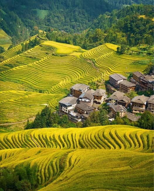 Guilin Longji: Rice Terrace with Oil-Tea Demo & Zhuang Lunch - FAQ