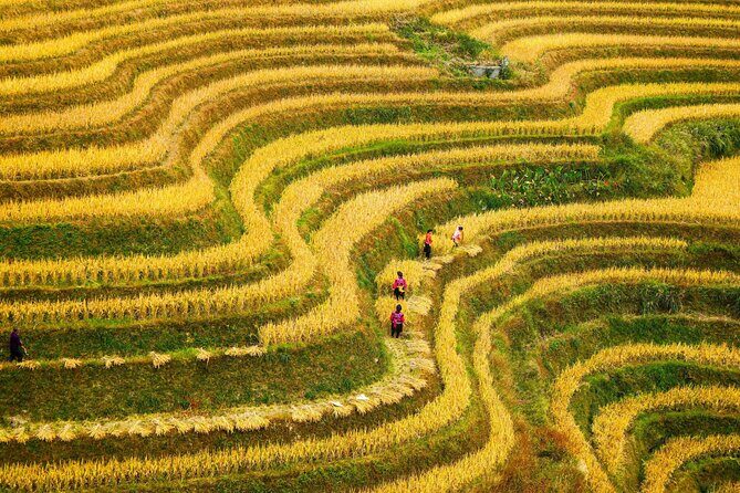 Guilin: Longji Rice Terraces and Villages Private Day Tour - What Makes This Tour Stand Out?
